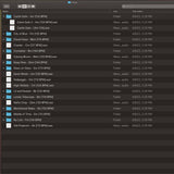 18 Original Guitar Loops with Effects + 11 Dry Loops